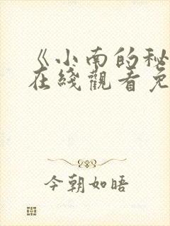 《小南的秘密》在线观看免费封面