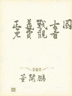 正义战士国语版免费观看