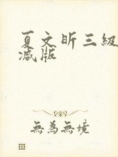 夏文昕三级无删减版