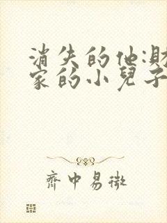 消失的他:财阀家的小儿子短剧