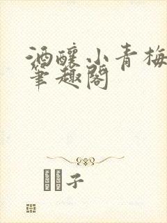 酒酿小青梅po笔趣阁