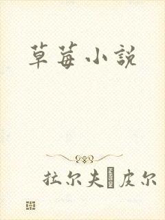 草莓小说
