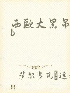 西欧大黑吊操白b