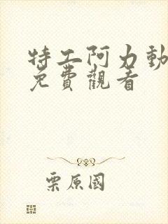 特工阿力动画片免费观看