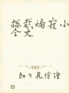 总裁娇宠小蛮妻全文