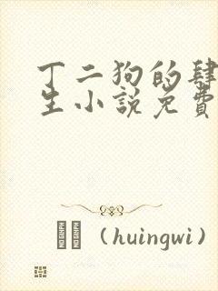 丁二狗的肆意人生小说免费1