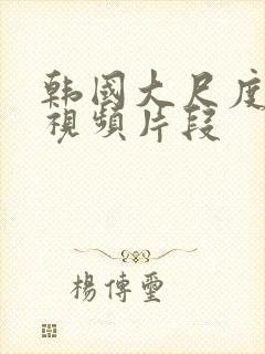 韩国大尺度床戏视频片段