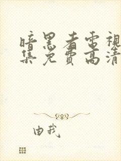 暗黑者电视剧全集免费高清在线观看