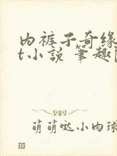 内裤子奇缘txt小说 笔趣阁