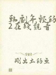 韩剧年轻的母亲2在线观看封面