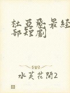 杜亚飞最经典十部短剧