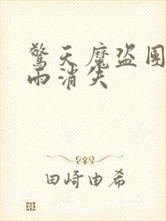 惊天魔盗团2躺雨消失