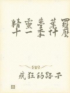 精灵梦叶罗丽第十一季什么时候更新封面