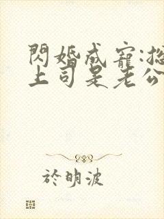 闪婚成宠:总裁上司是老公