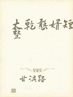 大乾憨婿短剧完整封面