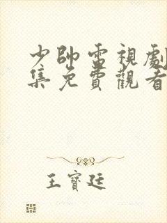 少帅电视剧48集免费观看高清