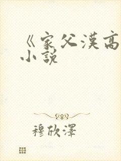 《家父汉高祖》小说封面