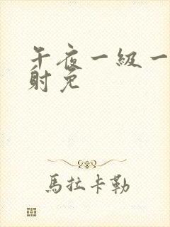 午夜一级一片内射免