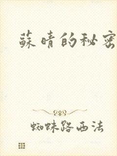 苏晴的秘密小说