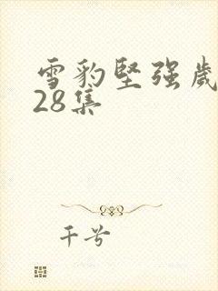 雪豹坚强岁月第28集