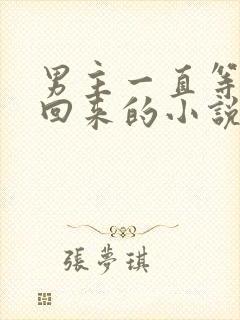 男主一直等女主回来的小说