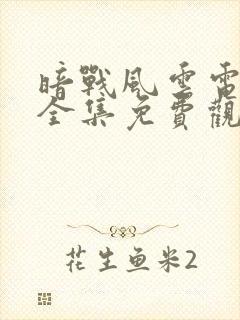 暗战风云电视剧全集免费观看