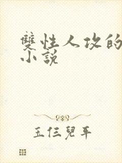 双性人攻的高h小说封面