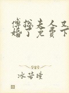 傅总夫人又闹离婚了免费下载封面