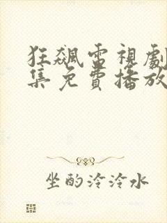 狂飙电视剧40集免费播放国语