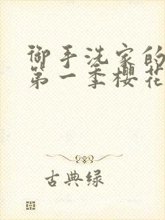 御手洗家的破洞第一季樱花动漫