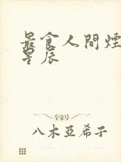 最食人间烟火色星辰