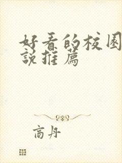 好看的校园文小说推荐封面