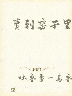 卖到窑子里np封面