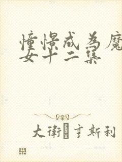 憧憬成为魔法少女十二集