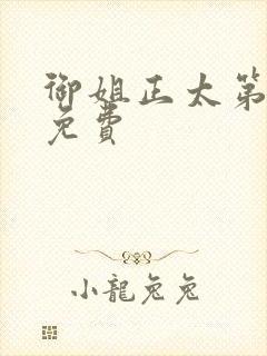 御姐正太第一季免费