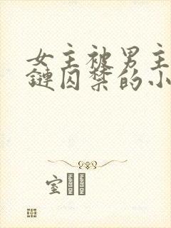 女主被男主用锁链囚禁的小说