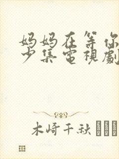 妈妈在等你有多少集电视剧