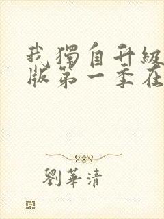 我独自升级中文版第一季在线观看封面