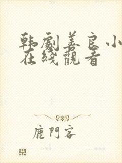 韩剧善良小 子在线观看