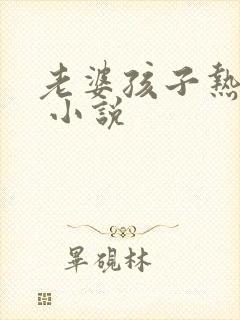 老婆孩子热炕头 小说