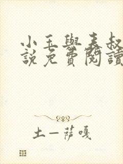 小玉与表叔的小说免费阅读封面