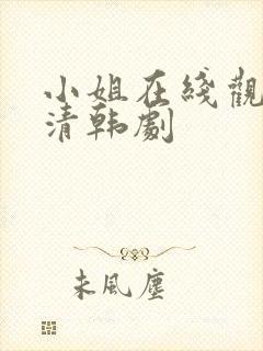 小姐在线观看高清韩剧