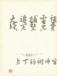 大追捕电视剧在线完整免费观看