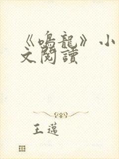 《鸣龙》小说全文阅读