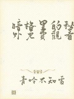 暗格里的秘密番外免费观看电视剧