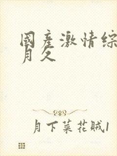 国产激情综合五月久