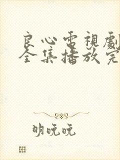 良心电视剧免费全集播放完整版