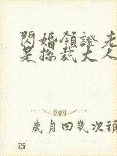 闪婚领证老公竟是总裁大人