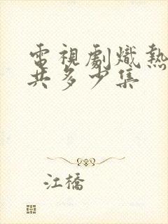 电视剧炽热吸引共多少集