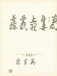 惹爱上身:霸道总裁宠妻成瘾封面